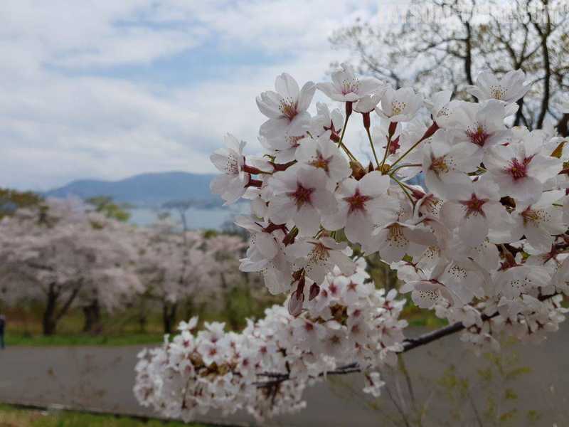 弘前青森北海道，温泉海鲜幸福感 5/6【登别】