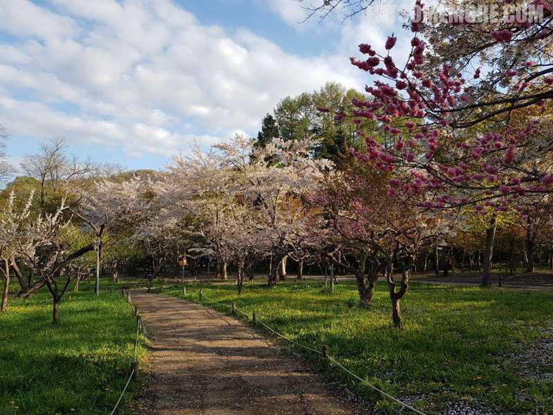 弘前青森北海道，温泉海鲜幸福感 4/6【札幌】